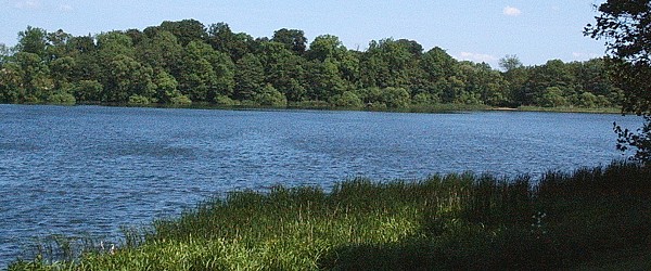 Blick auf den Cambser See bei Kleefeld Blick auf den Cambser See bei Kleefeld