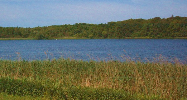 Foto vom Groen Dambecker See