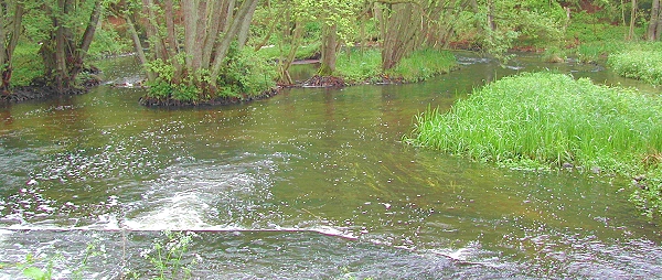 die Warnow in Mecklenburg