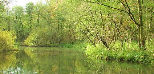 Wallensteingraben bei Hohen Viecheln